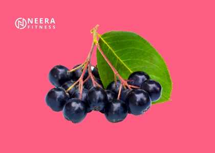 Black Chokeberry