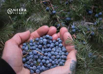 Juniper Berries