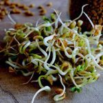 Sprouts A Nutritional Powerhouse for a Healthy Lifestyle
